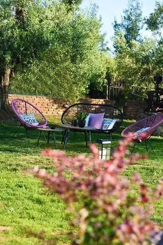 Vagones 3 * Vatopedi
