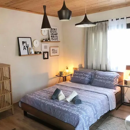 Vagones 3 * Βατοπέδι